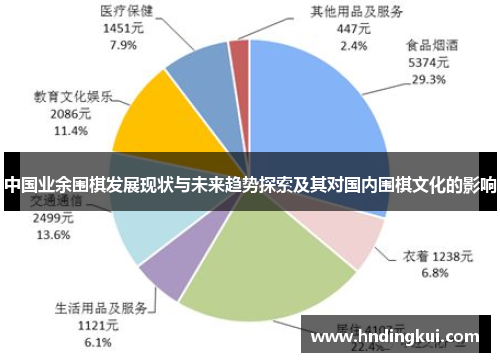 中国业余围棋发展现状与未来趋势探索及其对国内围棋文化的影响